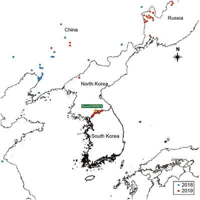 Complete genome analysis of the African swine fever virus isolated from a wild boar responsible for the first viral outbreak in Korea, 2019